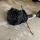 Semialbero Post. Compl. Gauche Smart Fortwo (a/c451) Cabrio (52kw) Cbr