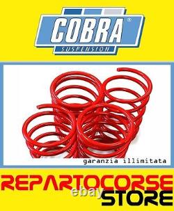 Set 4 Ressorts Sportive Rapport cobra 30mm smart Fortwo 450 coupe cabrio Tüv